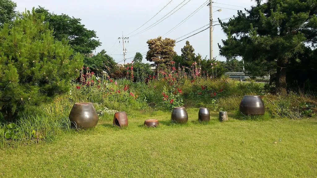 بيت شباب Jun House جيجو 0*,